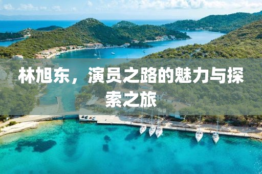林旭东，演员之路的魅力与探索之旅