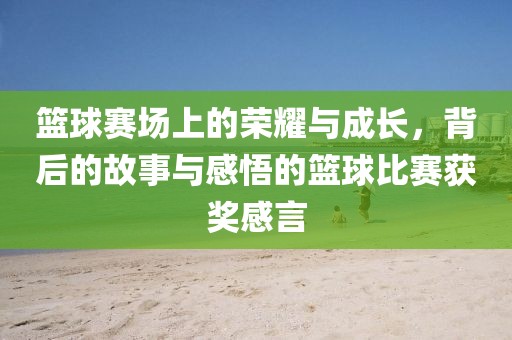 篮球赛场上的荣耀与成长，背后的故事与感悟的篮球比赛获奖感言