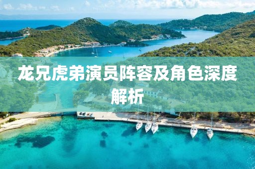 龙兄虎弟演员阵容及角色深度解析