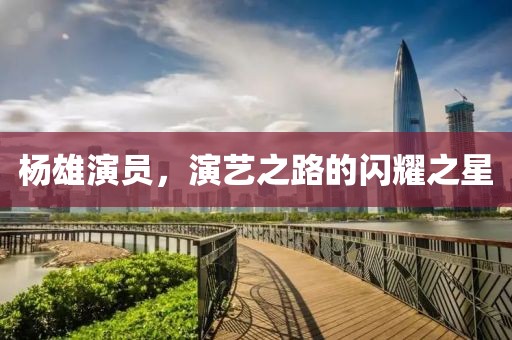 杨雄演员，演艺之路的闪耀之星