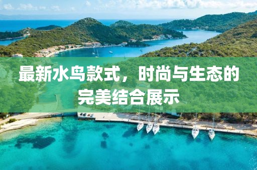 最新水鸟款式，时尚与生态的完美结合展示