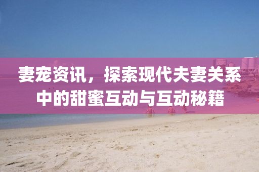 妻宠资讯，探索现代夫妻关系中的甜蜜互动与互动秘籍