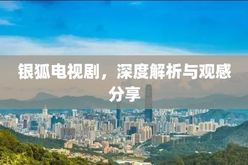 银狐电视剧，深度解析与观感分享