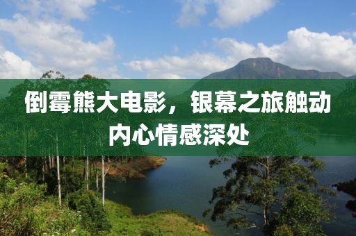 倒霉熊大电影，银幕之旅触动内心情感深处