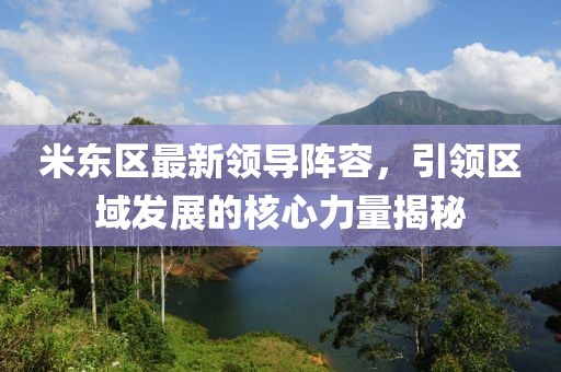 米东区最新领导阵容，引领区域发展的核心力量揭秘