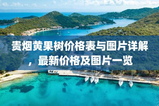 贵烟黄果树价格表与图片详解，最新价格及图片一览