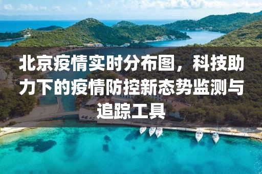 北京疫情实时分布图，科技助力下的疫情防控新态势监测与追踪工具