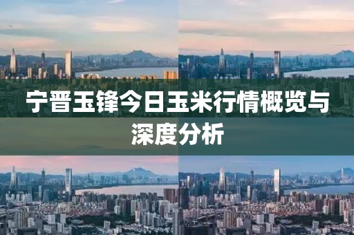 宁晋玉锋今日玉米行情概览与深度分析