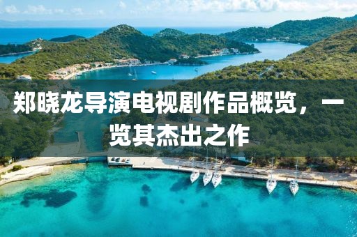 郑晓龙导演电视剧作品概览，一览其杰出之作
