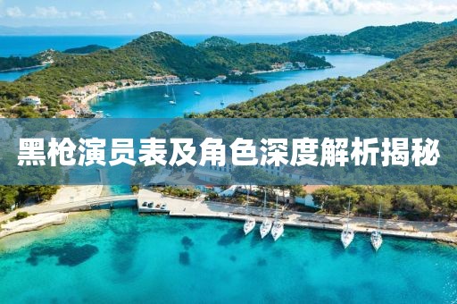 黑枪演员表及角色深度解析揭秘