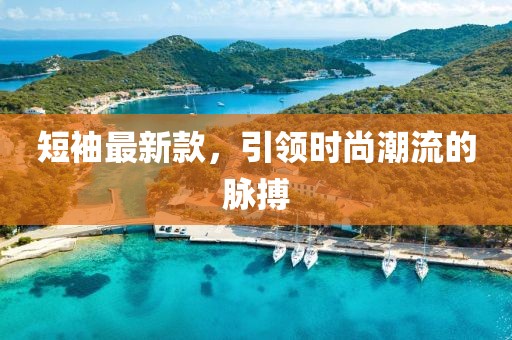 短袖最新款，引领时尚潮流的脉搏