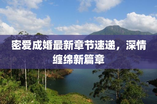 顾瑶韵 第16页