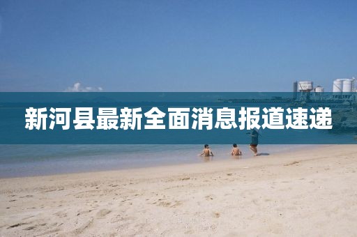 新河县最新全面消息报道速递