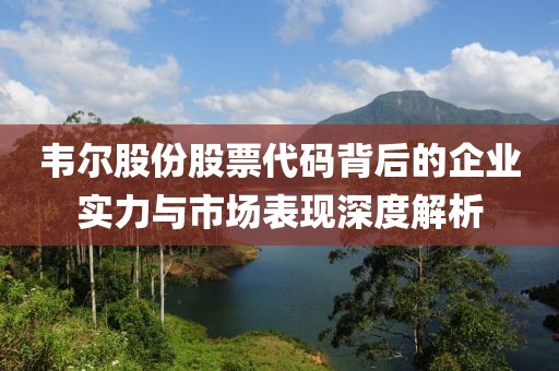 韦尔股份股票代码背后的企业实力与市场表现深度解析