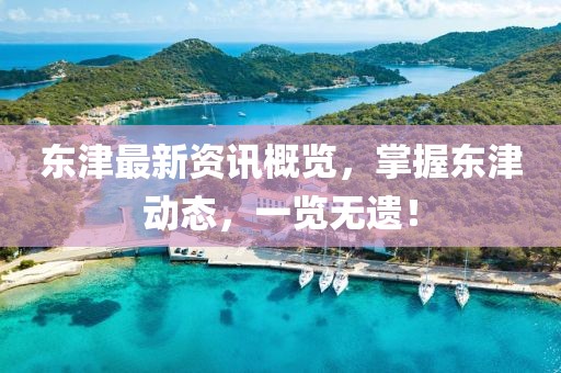 东津最新资讯概览，掌握东津动态，一览无遗！
