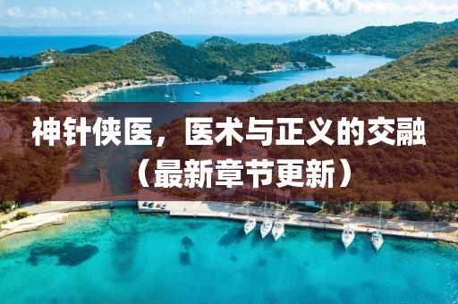 神针侠医，医术与正义的交融（最新章节更新）