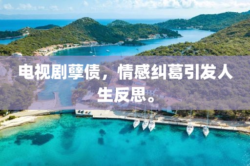 电视剧孽债，情感纠葛引发人生反思。