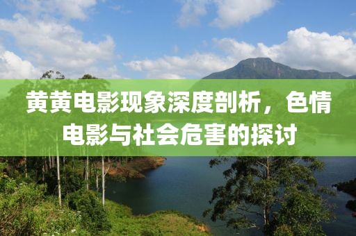 黄黄电影现象深度剖析，色情电影与社会危害的探讨