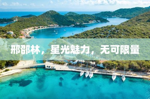 邢邵林，星光魅力，无可限量