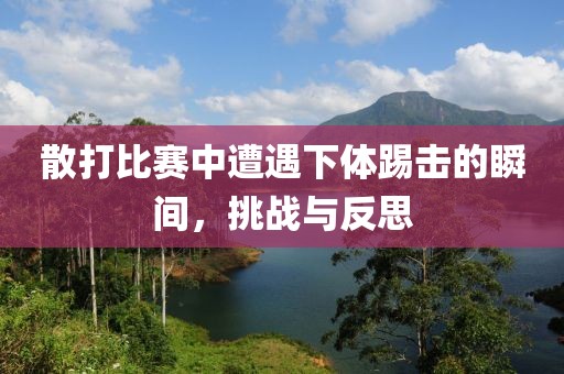 散打比赛中遭遇下体踢击的瞬间，挑战与反思