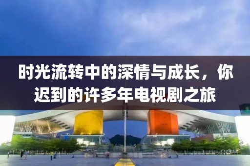 时光流转中的深情与成长，你迟到的许多年电视剧之旅