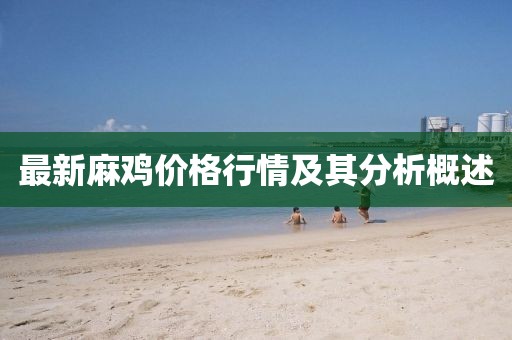 最新麻鸡价格行情及其分析概述