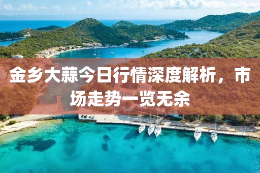 金乡大蒜今日行情深度解析，市场走势一览无余