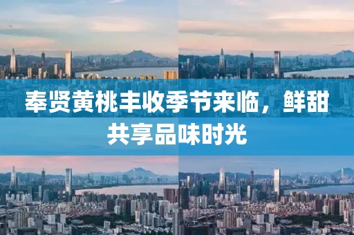 奉贤黄桃丰收季节来临，鲜甜共享品味时光