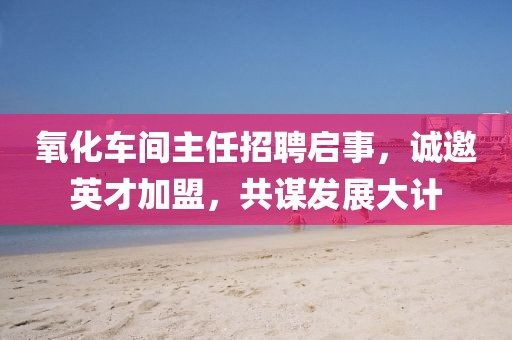 氧化车间主任招聘启事，诚邀英才加盟，共谋发展大计