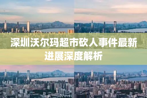 深圳沃尔玛超市砍人事件最新进展深度解析