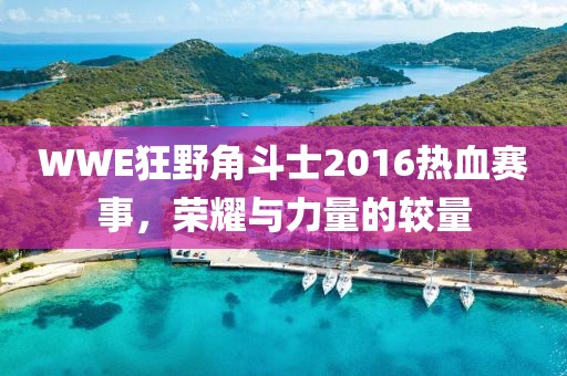 WWE狂野角斗士2016热血赛事，荣耀与力量的较量