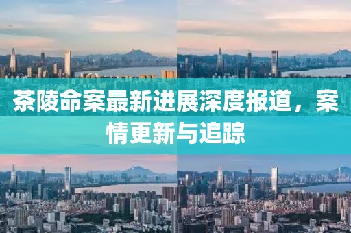 茶陵命案最新进展深度报道，案情更新与追踪