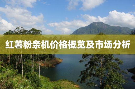 红薯粉条机价格概览及市场分析