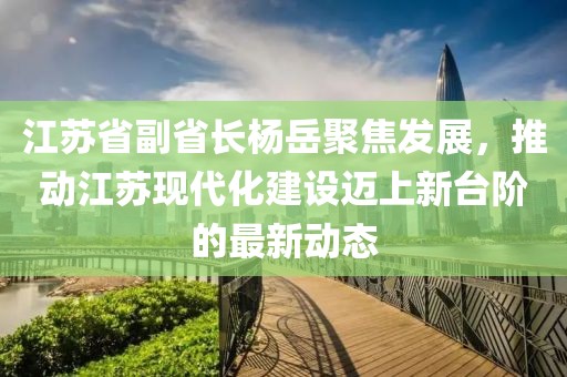 江苏省副省长杨岳聚焦发展，推动江苏现代化建设迈上新台阶的最新动态