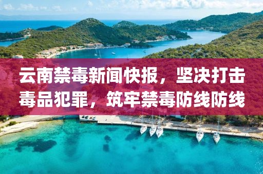 云南禁毒新闻快报，坚决打击毒品犯罪，筑牢禁毒防线防线