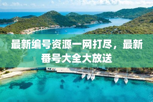 最新编号资源一网打尽，最新番号大全大放送