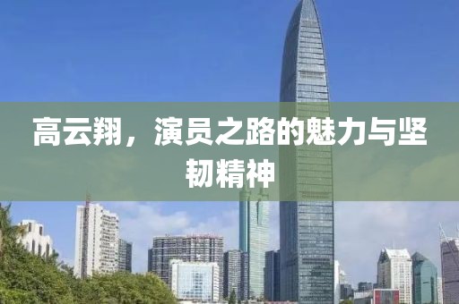 高云翔，演员之路的魅力与坚韧精神