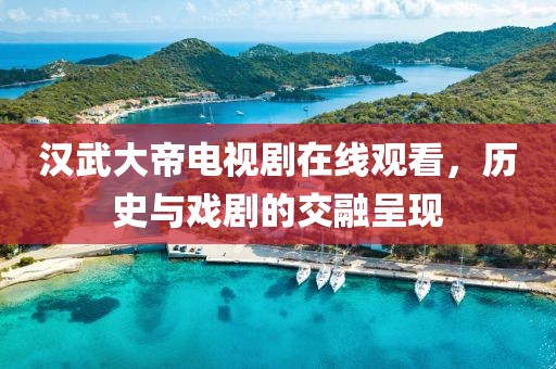 汉武大帝电视剧在线观看，历史与戏剧的交融呈现