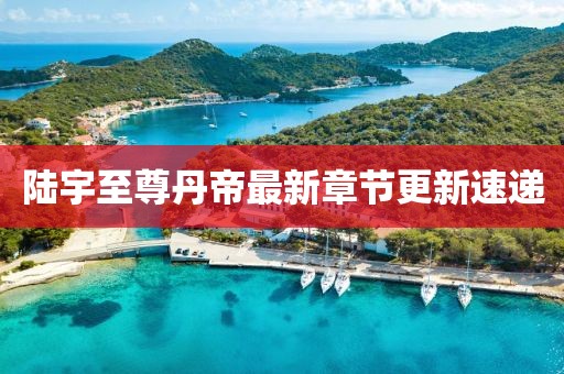 陆宇至尊丹帝最新章节更新速递