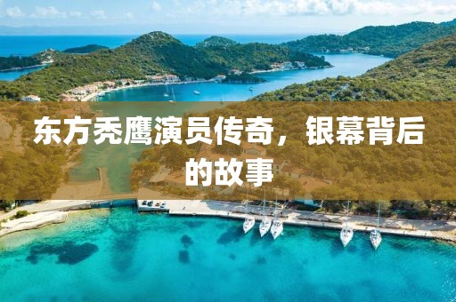 东方秃鹰演员传奇，银幕背后的故事