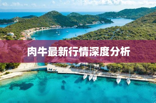 梅坼筱枫 第14页