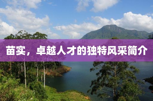 苗实，卓越人才的独特风采简介