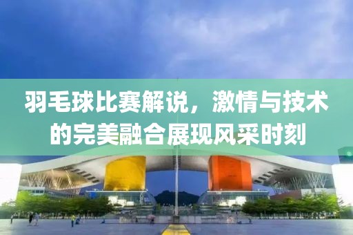 羽毛球比赛解说，激情与技术的完美融合展现风采时刻