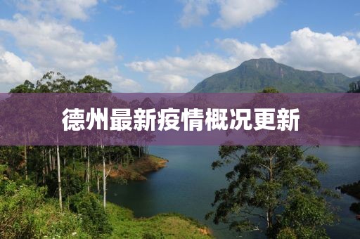 德州最新疫情概况更新