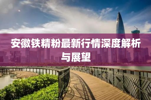 安徽铁精粉最新行情深度解析与展望