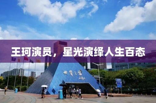 王珂演员，星光演绎人生百态