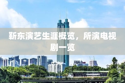 靳东演艺生涯概览，所演电视剧一览