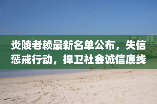 炎陵老赖最新名单公布，失信惩戒行动，捍卫社会诚信底线