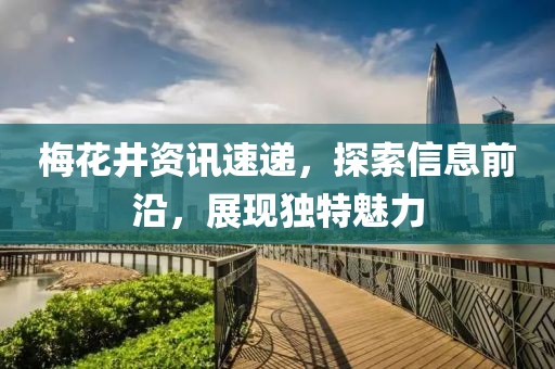 梅花井资讯速递，探索信息前沿，展现独特魅力