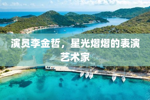演员李金哲，星光熠熠的表演艺术家